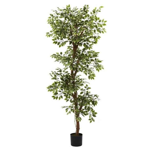 Nearly Natural 6 and rsquo; Variegated Ficus Tree 5345 - main